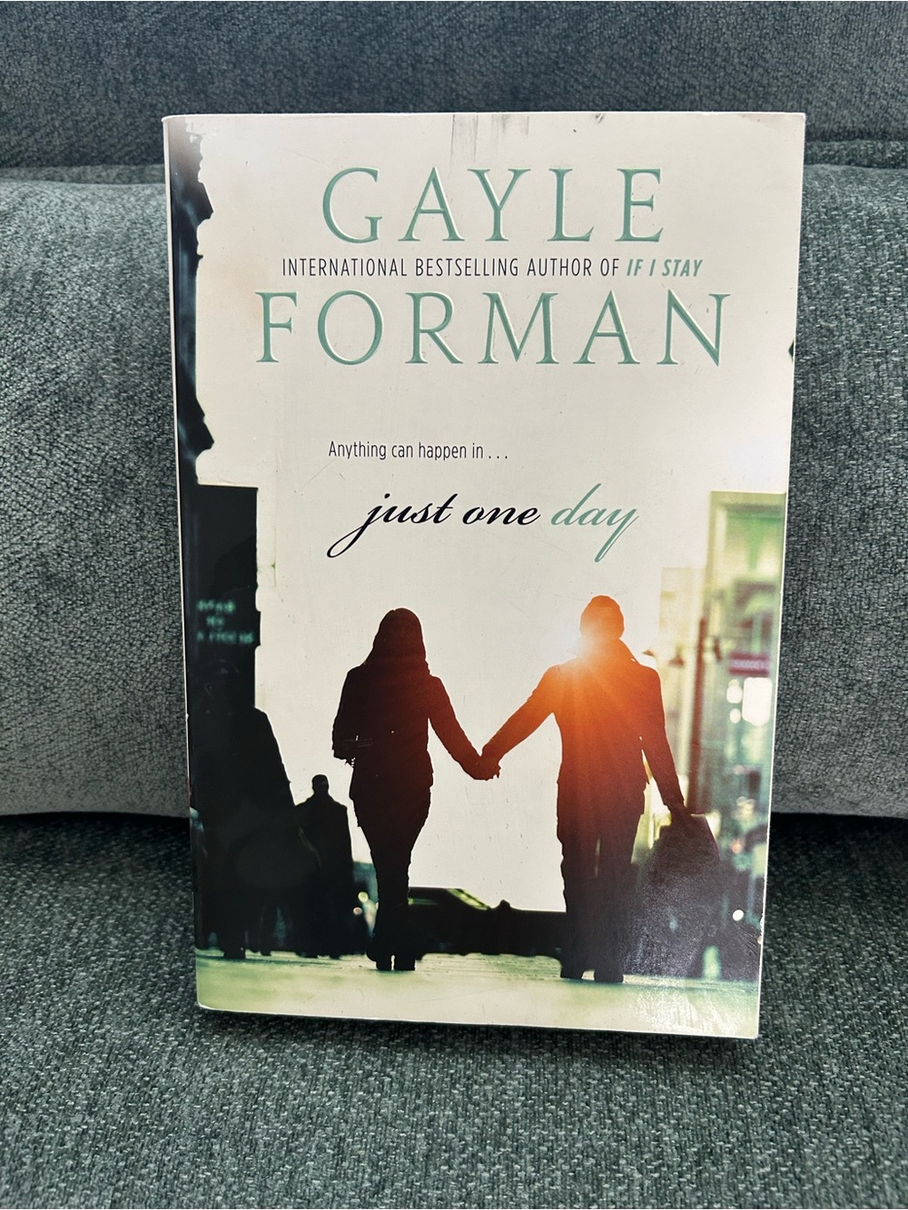 Gayle Forman "Just One Day" Paperback Novel - White & Teal Cover